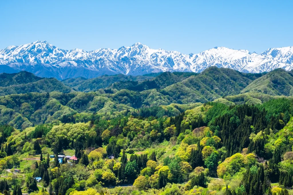 農地と山林が点在する里山の風景