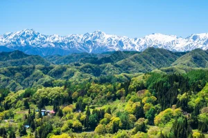 農地と山林が点在する里山の風景